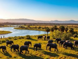 Pesona Wisata Botswana: Petualangan Tak Terlupakan