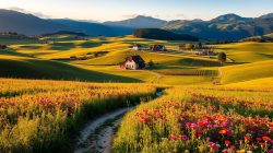 Jelajahi Keindahan Wisata Rumania di Indonesia
